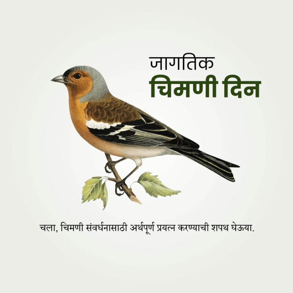 World Sparrow Day: Celebrating Our Feathered Urban Partners | Download Poster 25 image 2024 Mar 18 17 52 31 World Sparrow Day